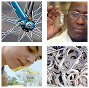 Sustainability Report image