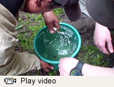 EWB Peru video thumbnail