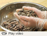 Chocolate Studies video thumbnail