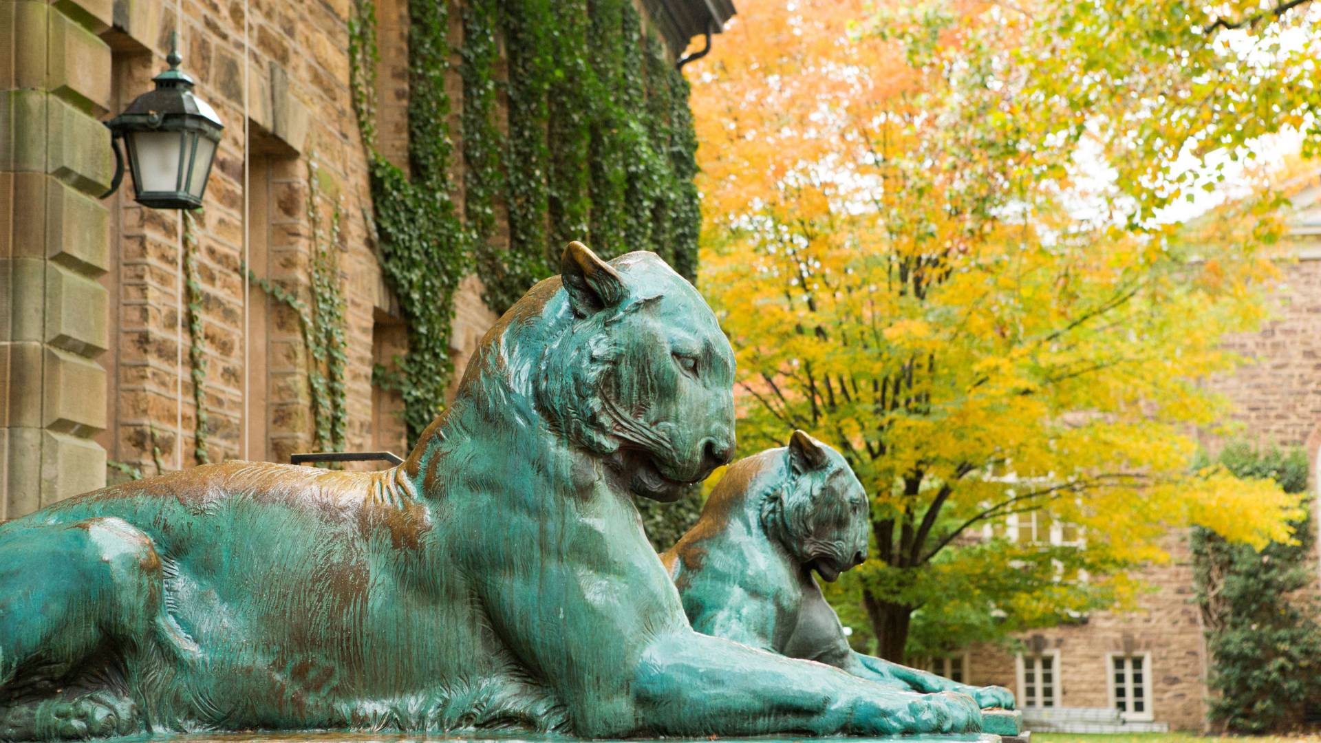 Tiger statues outside Nassau Hall