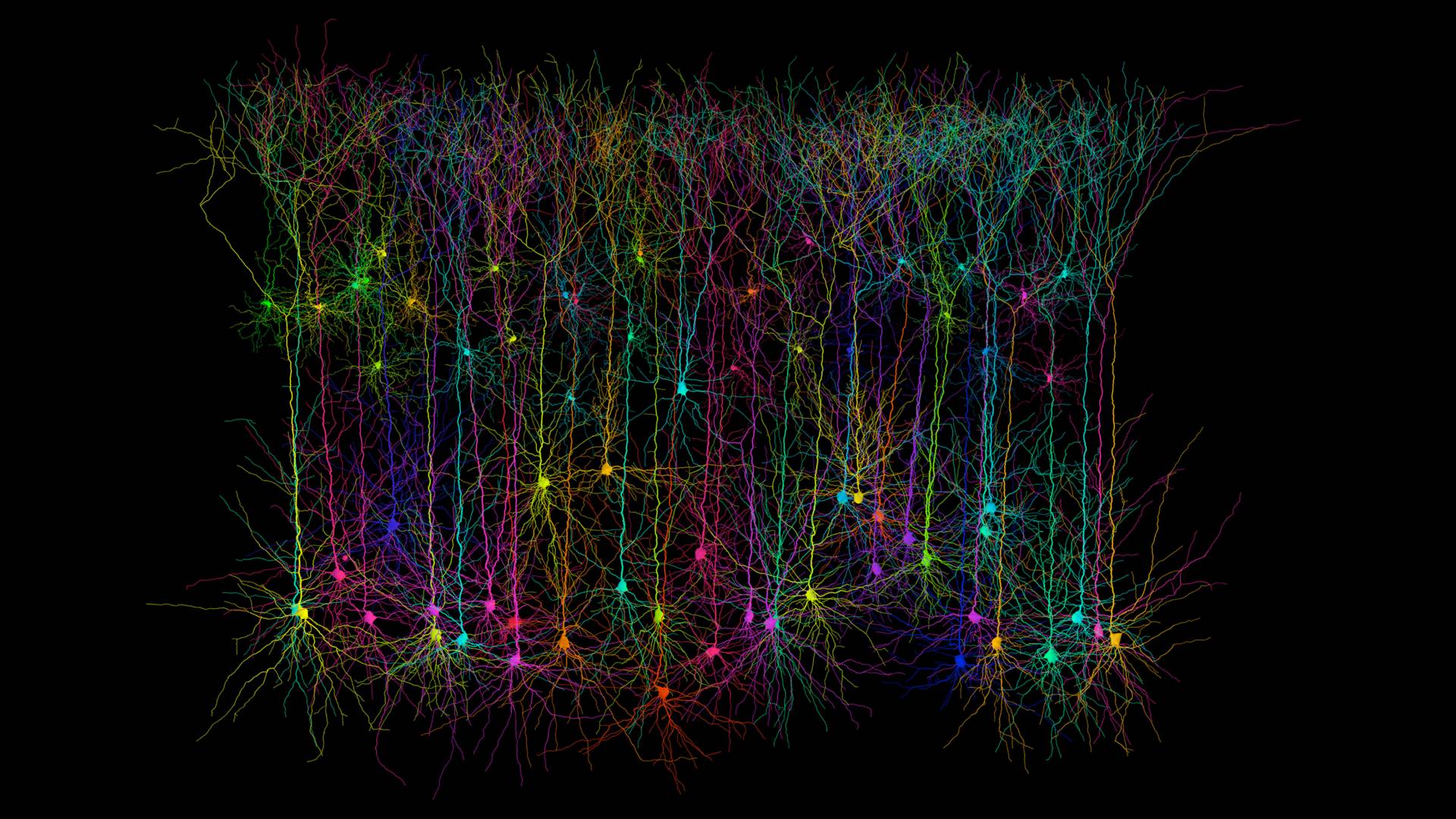 Synthetic pyramidal neurons