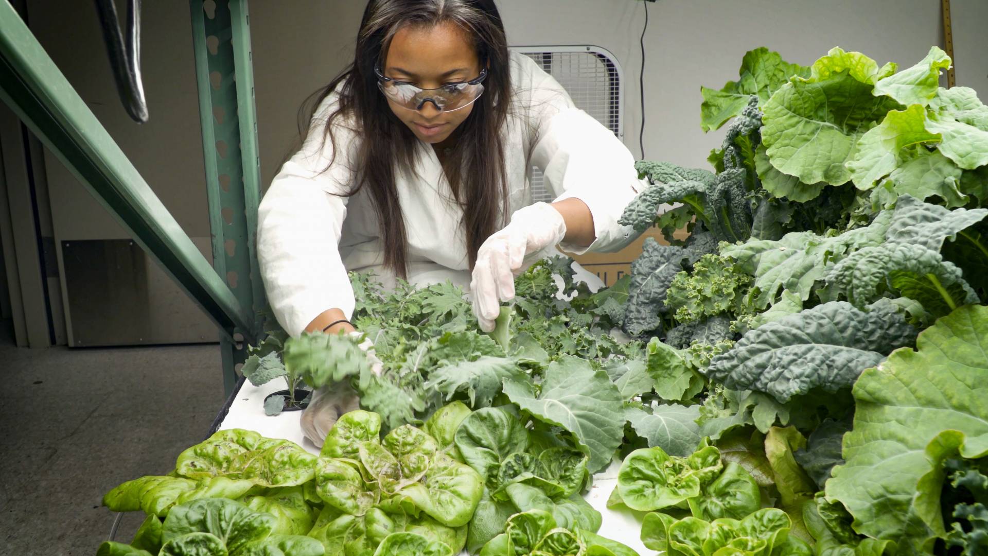 Student tending plants in Vertical Farming unit
