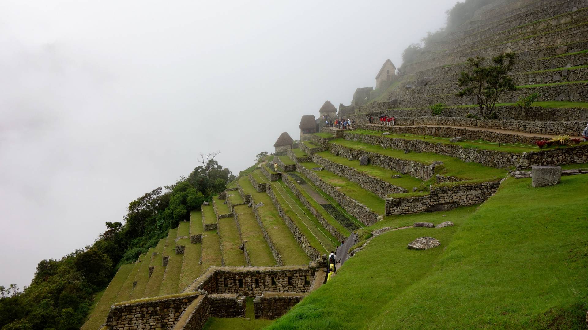 Terraces at Machu Picchu