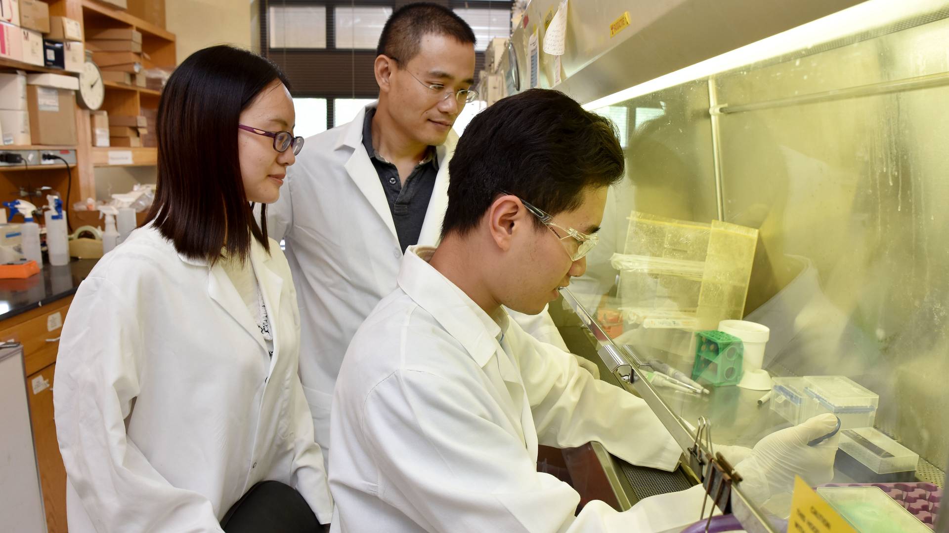 International students working with Yibin Kang in Kan'g lab