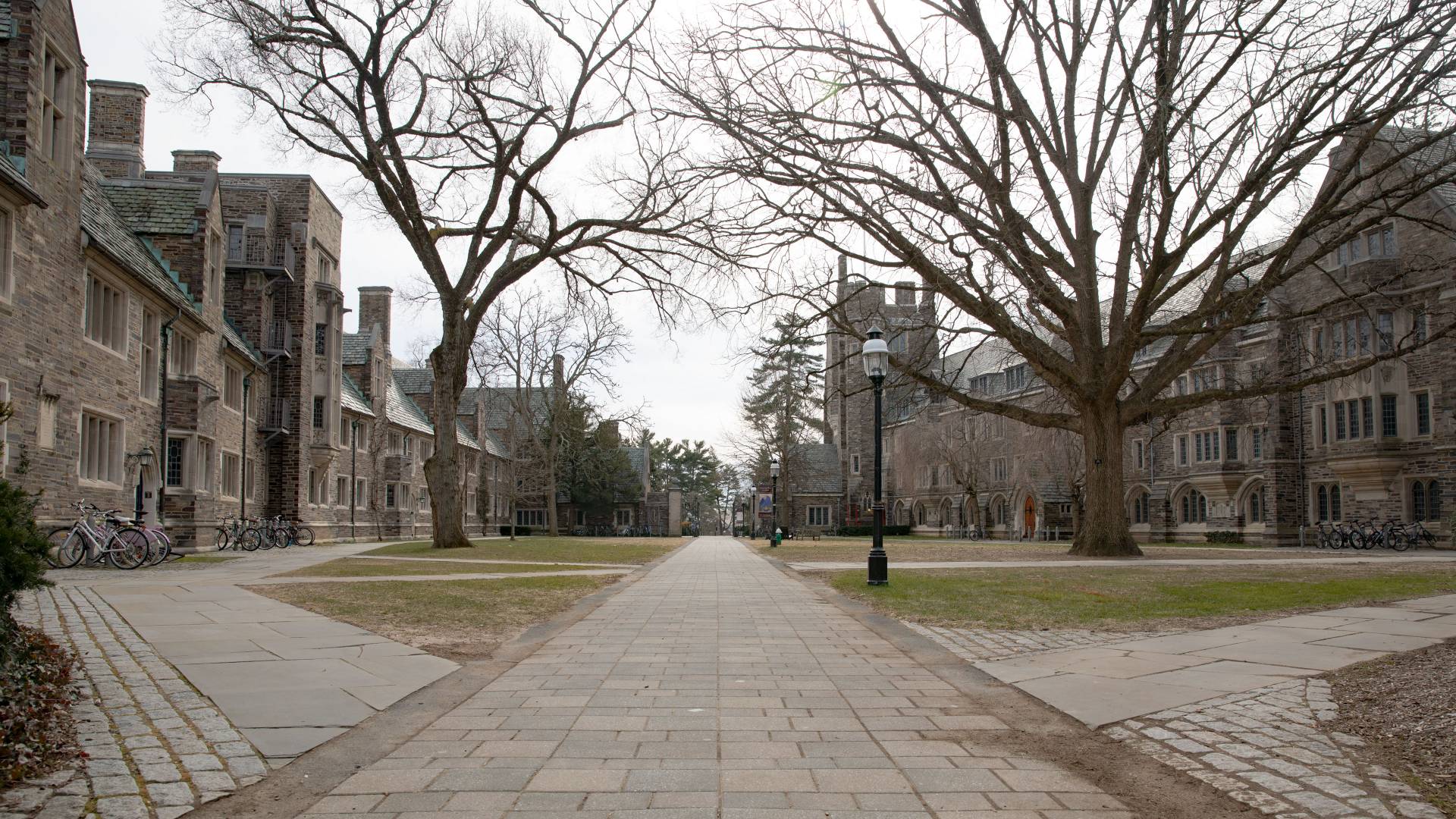 Courtyard between Laughlin, 1901, Foulke and Henry Hall