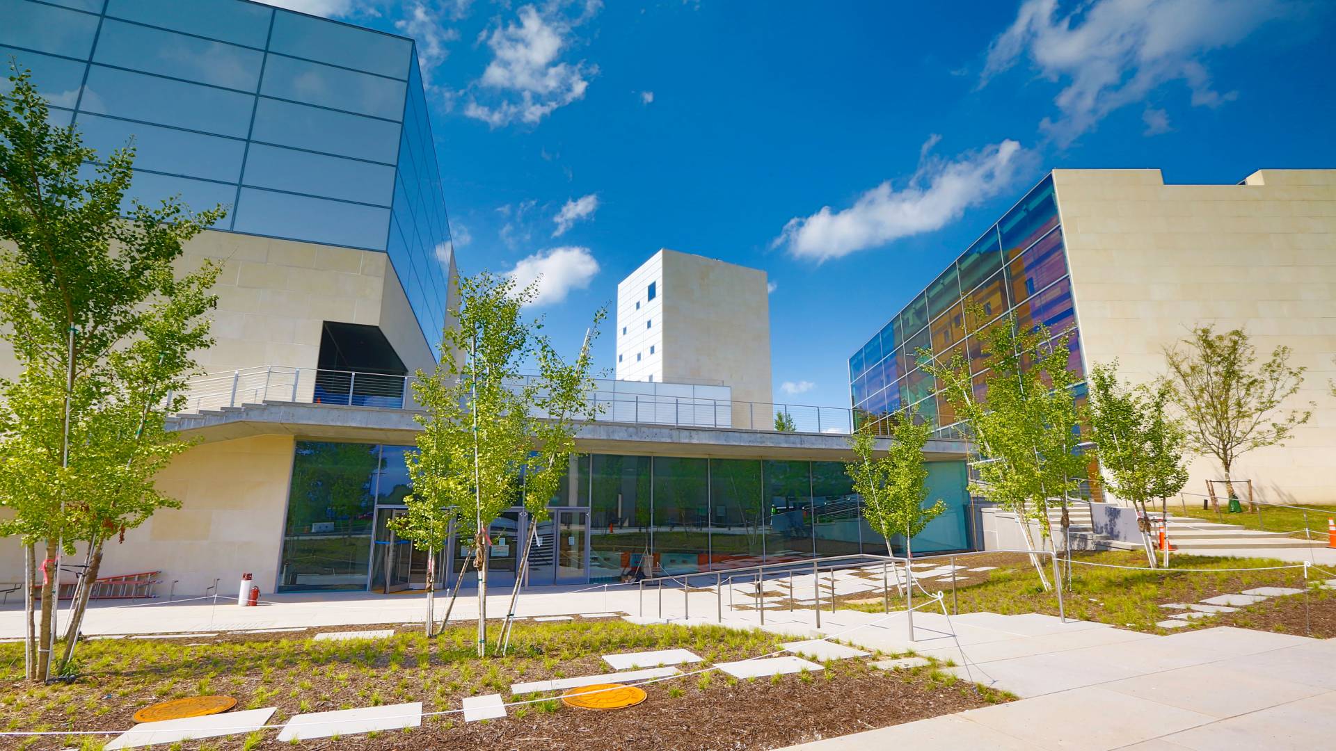 Lewis Arts Center buildings