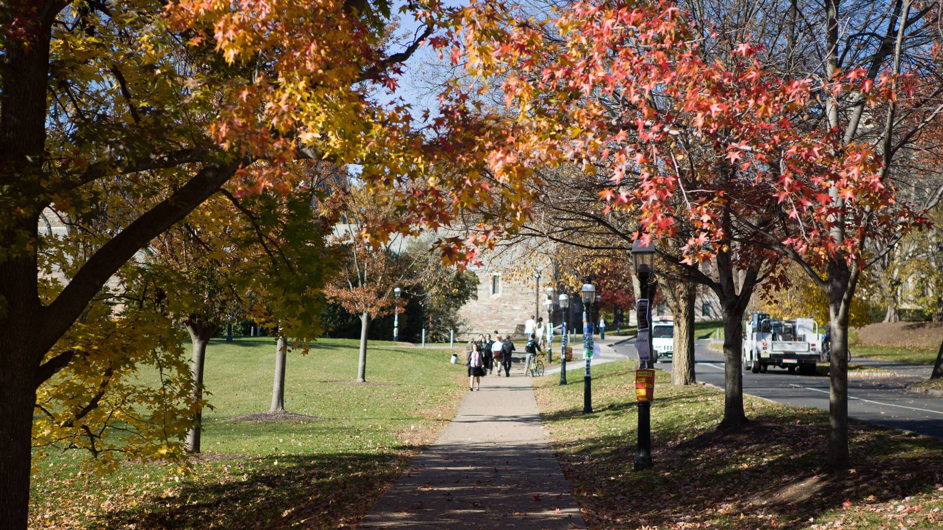 fall colors on campus