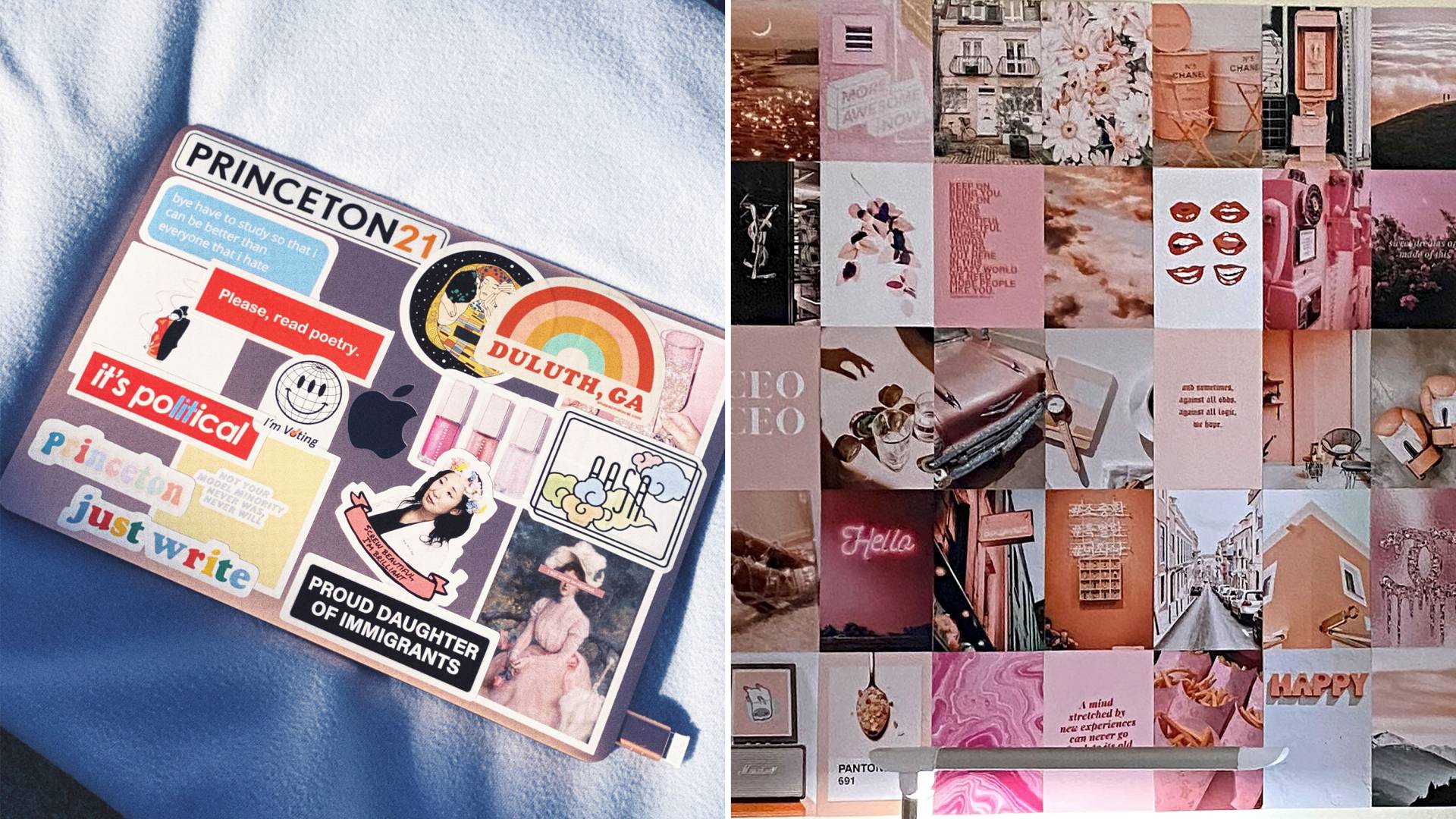 Laptop festooned with stickers reading "Princeton 21," Please, read poetry," it's political," I'm voting," Princeton, just write," "bye, I have to study so that I can be better than everyone that i hate," Duluth, GA," "Proud Daughter of Immigrants," "AASA," "Screw beautiful, I'm brilliant." A wall of images.