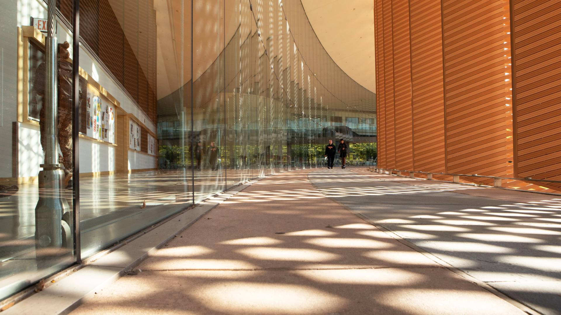 Sunlight filters through architectural elements on the Icahn building