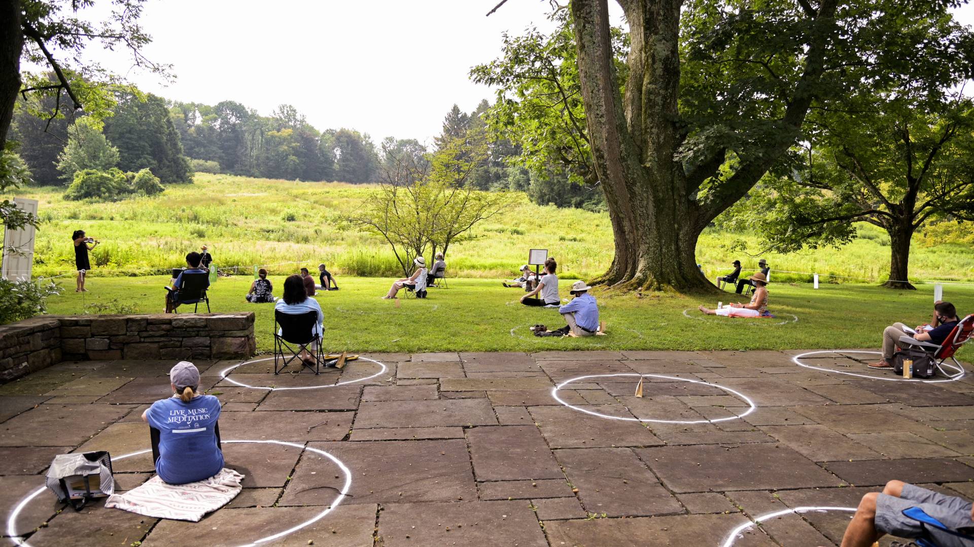People meditating on a lawn while a violinist plays