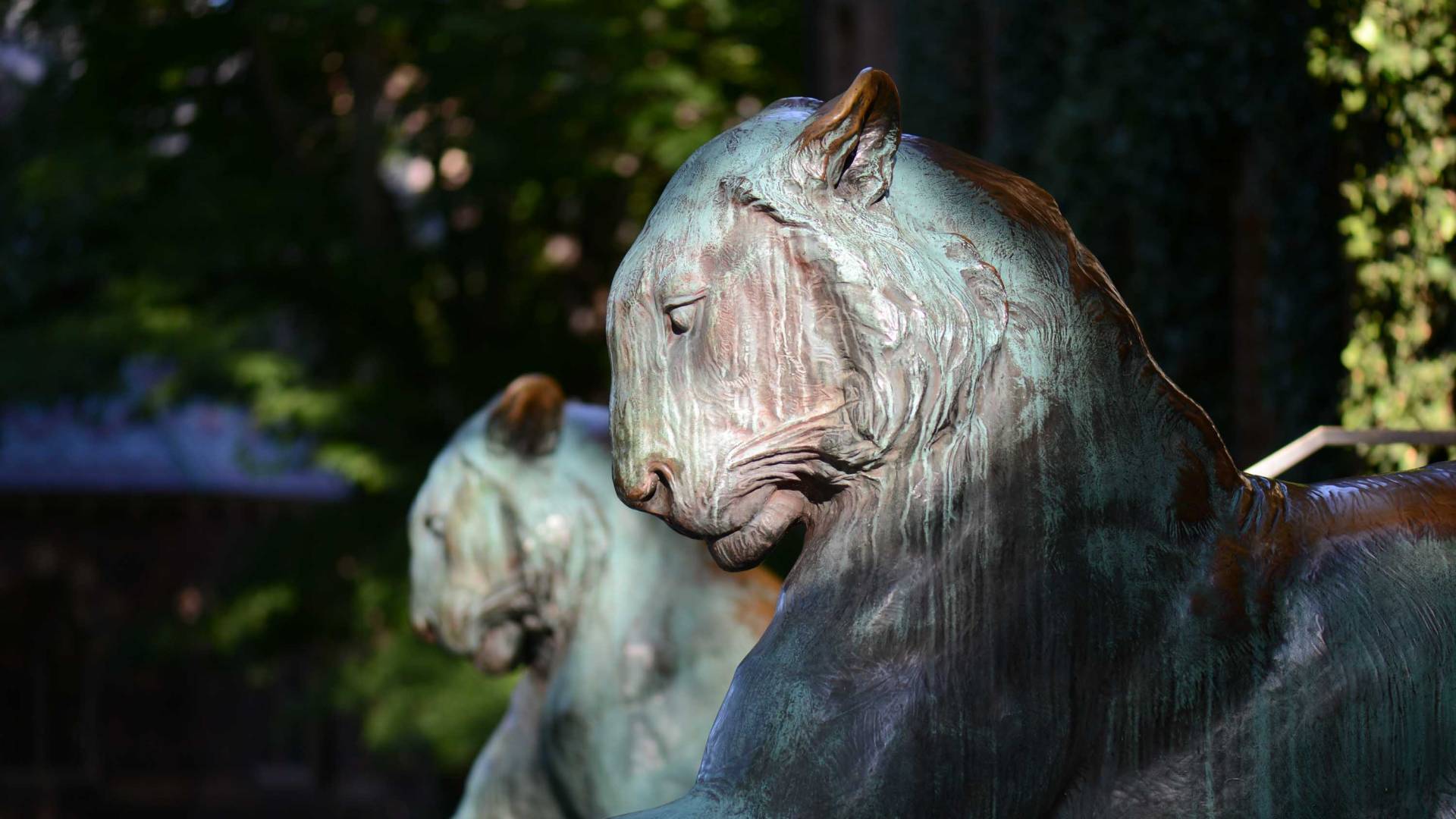Princeton tiger sculptures