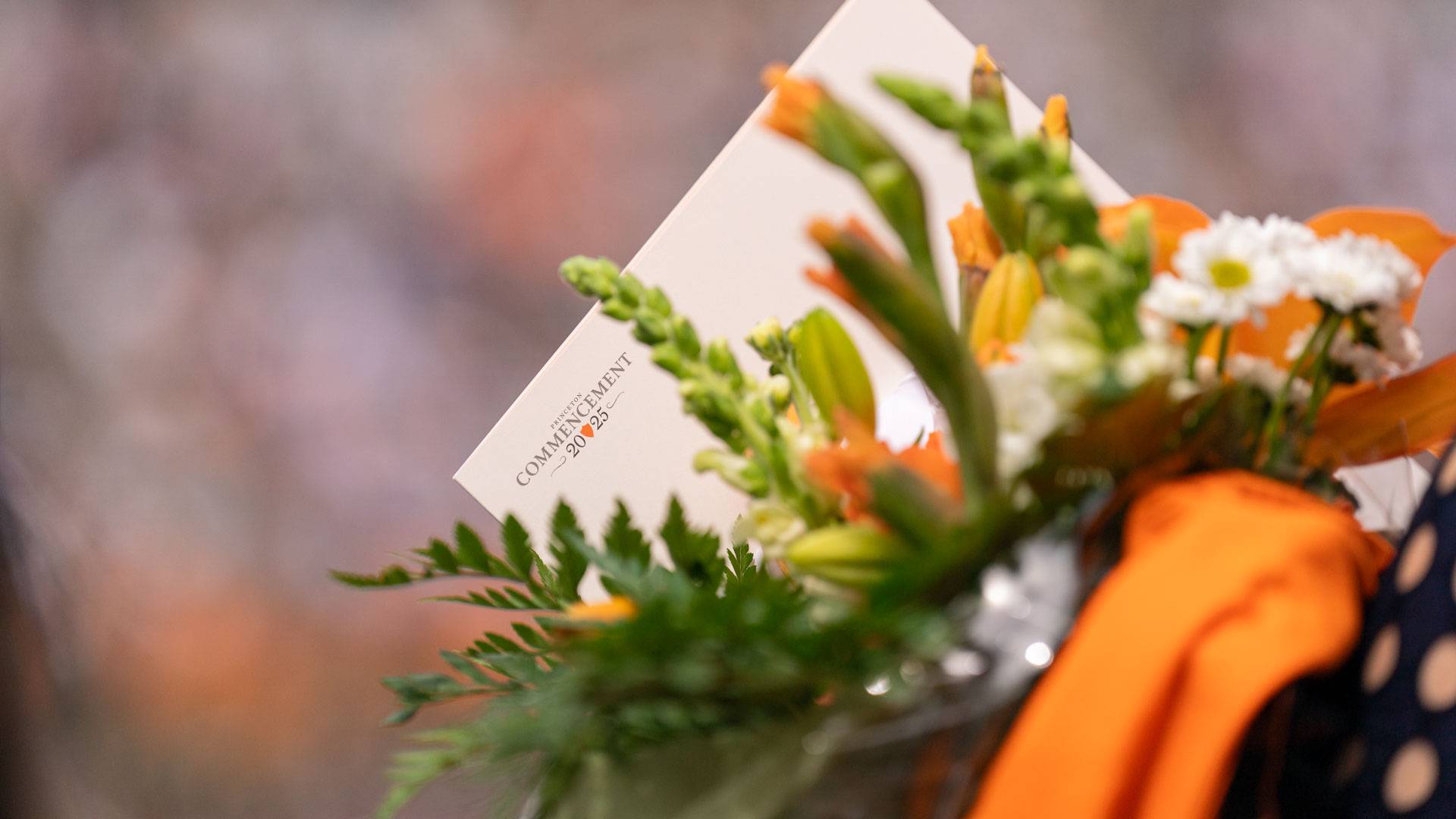 A close up of orange flowers