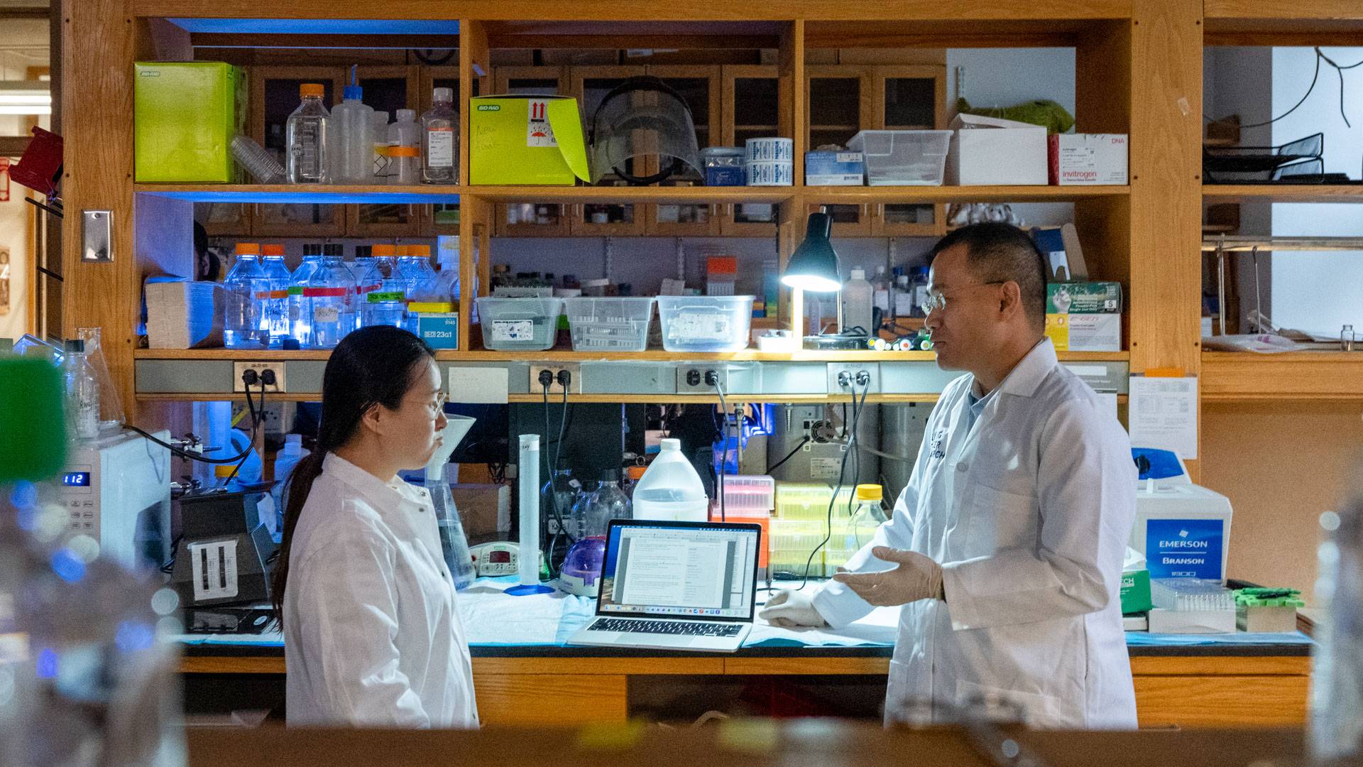 Yiban Kang and postdoctoral fellow Yujiao Han in the lab