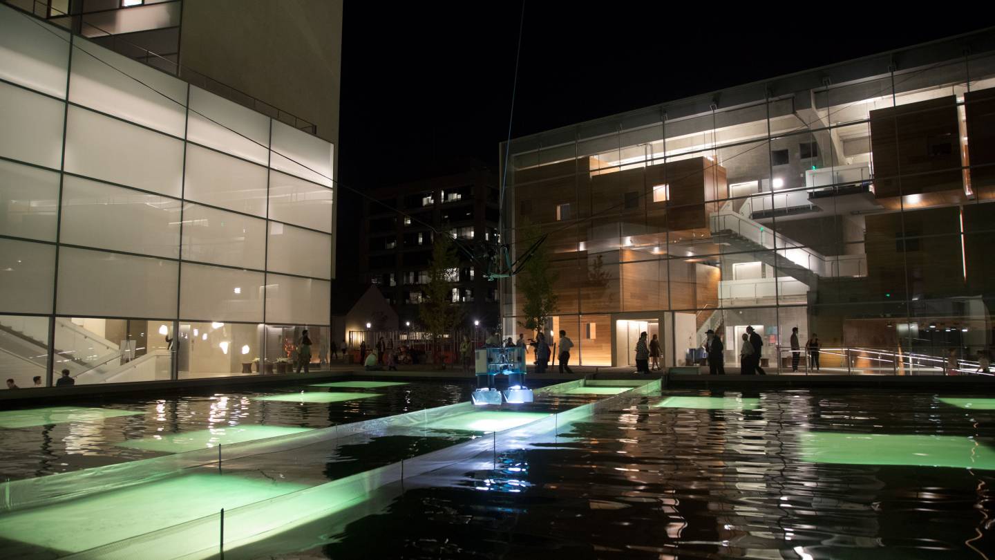 Lights outside the Lewis Arts complex during Wave Fanfare performance