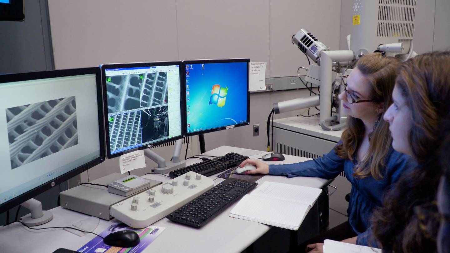 Student sitting at computer
