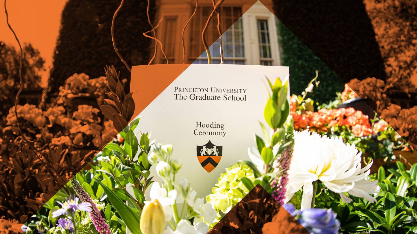 Hooding program amongst flowers