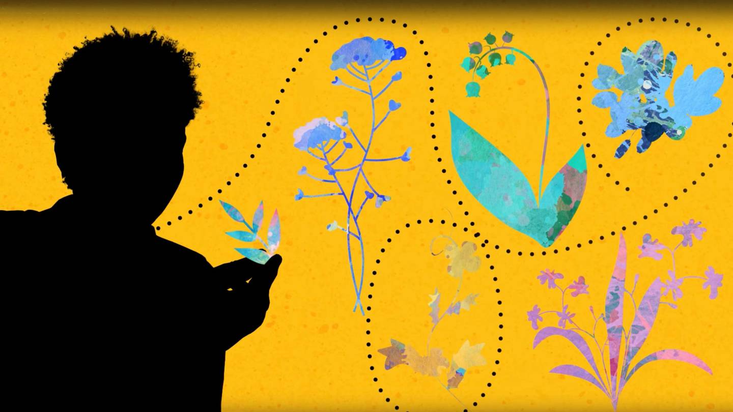 silhouette and botanical shapes