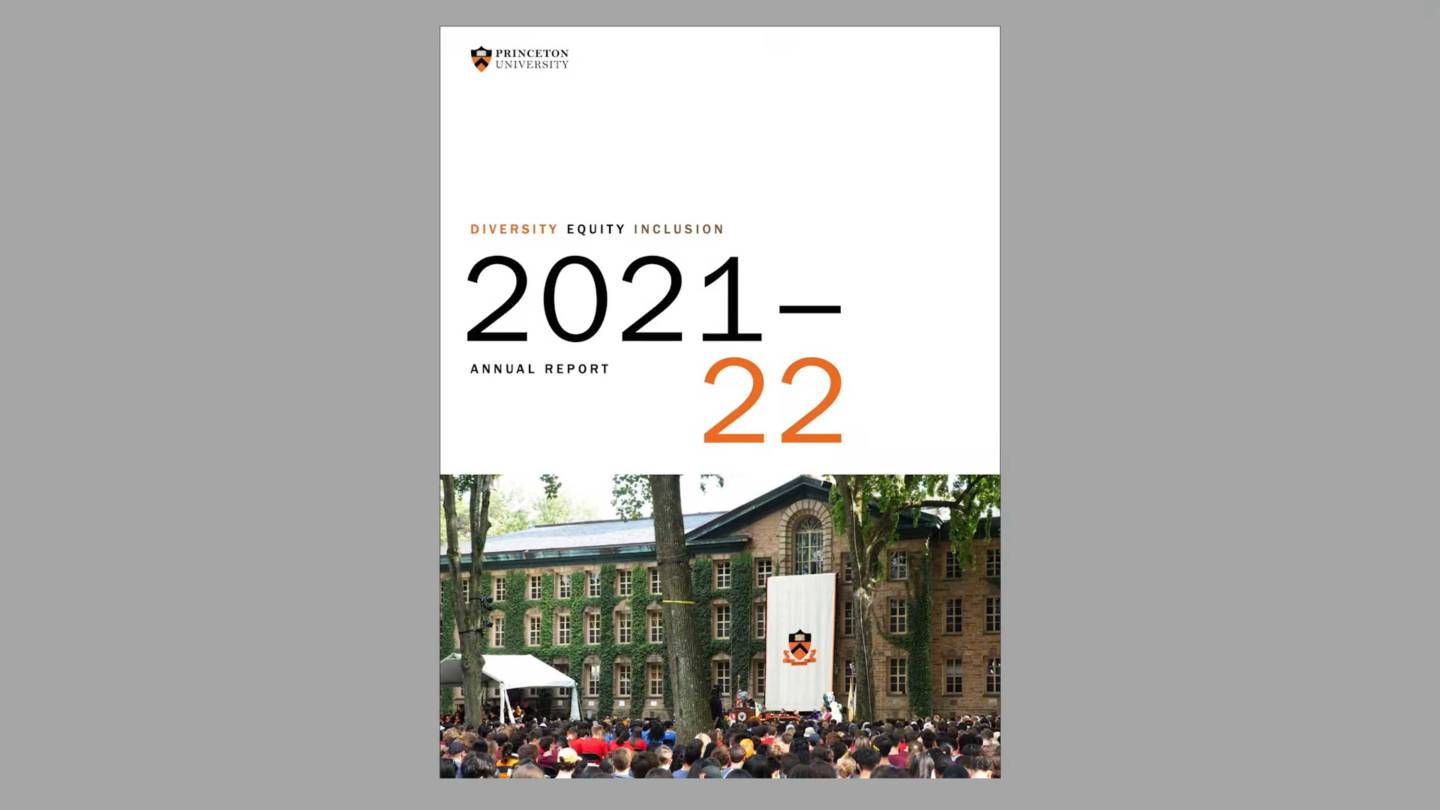 cover of the DEI report