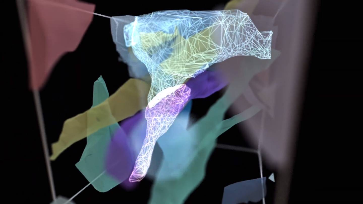 Please insert alt text here