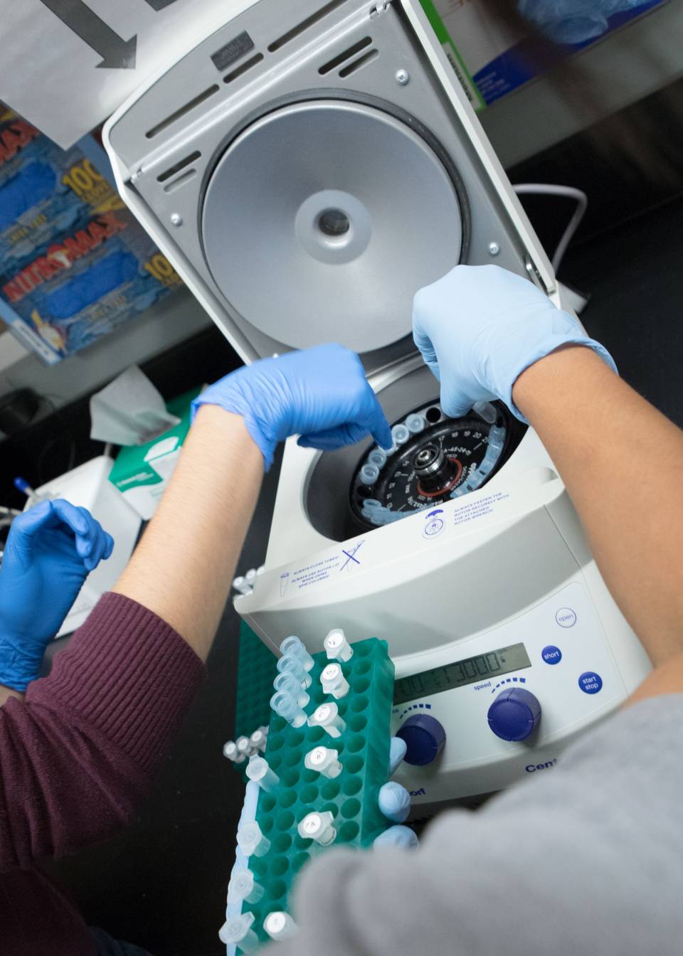 Student working with microscope