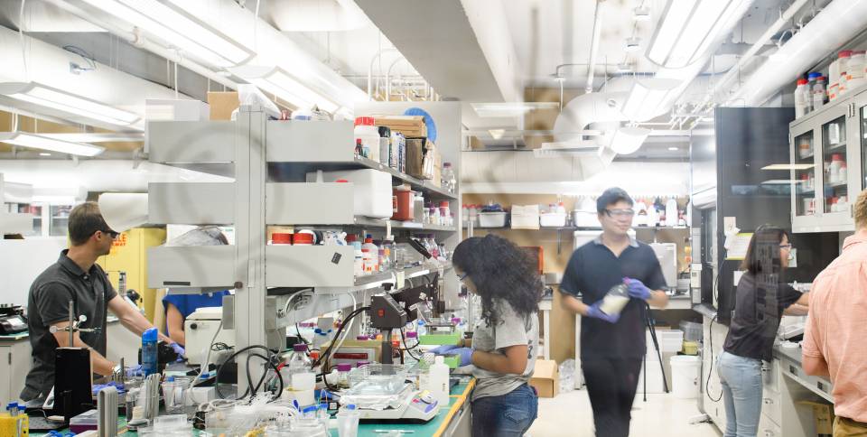 Panorama of Howard Stone's Lab