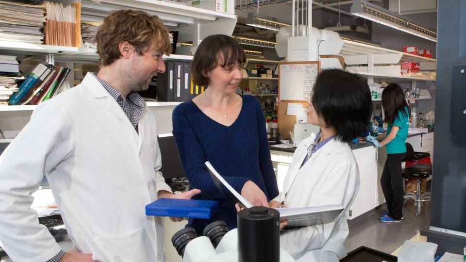Celeste Nelson with Victor Varner and Mei Fong-Pang 