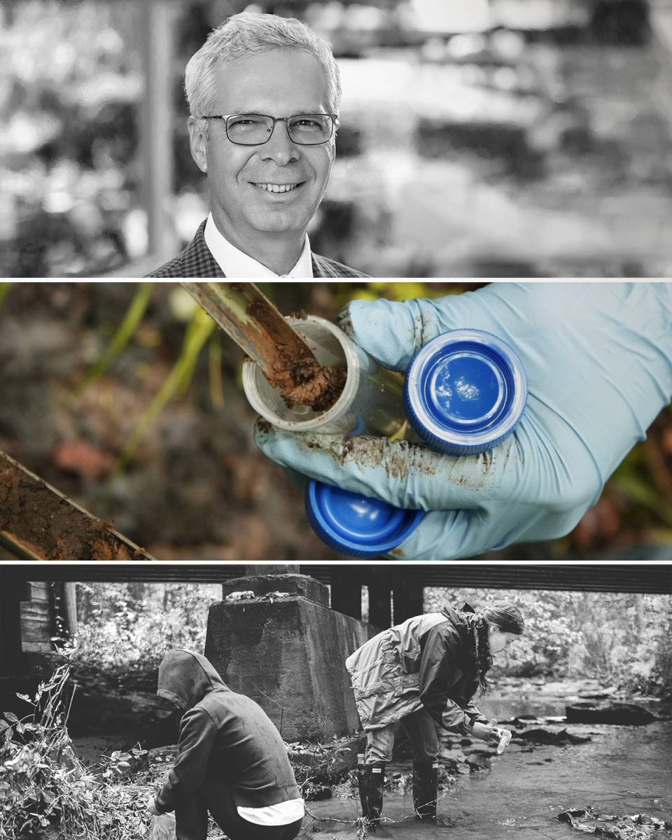 Three stacked photos show Peter Jaffé, sample collection in a New Jersey wetland, and members of the Jaffé Lab in a wetland.