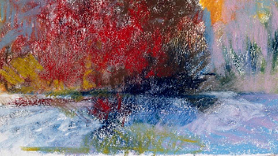 The Pond, Institute  for Advanced Study, 9 AM, Oct. 11, 1993.