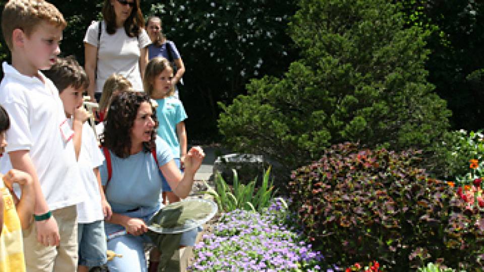 Cotsen Butterfly Program