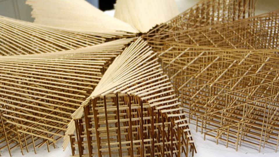 wooden scaffold and strip model in progress