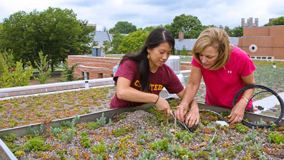 examining roof