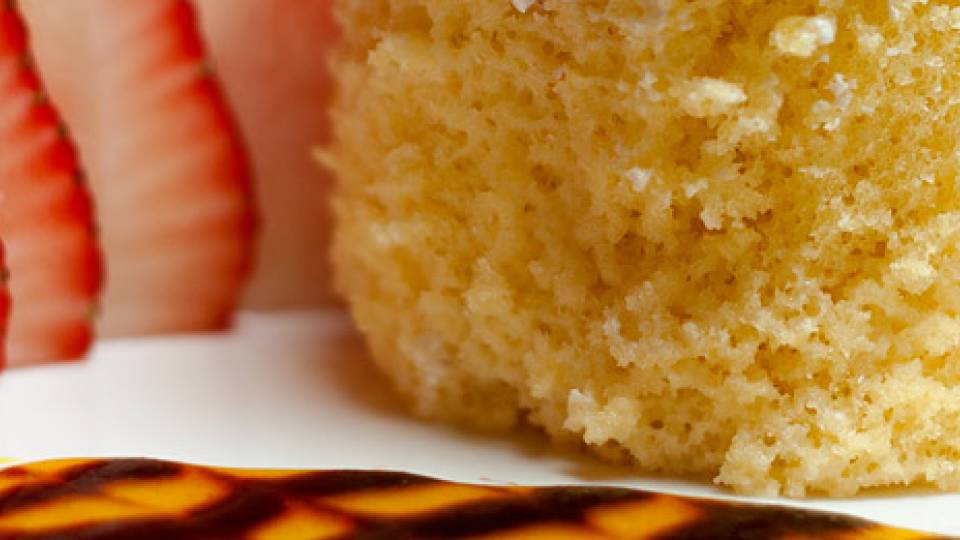 International Palate home page