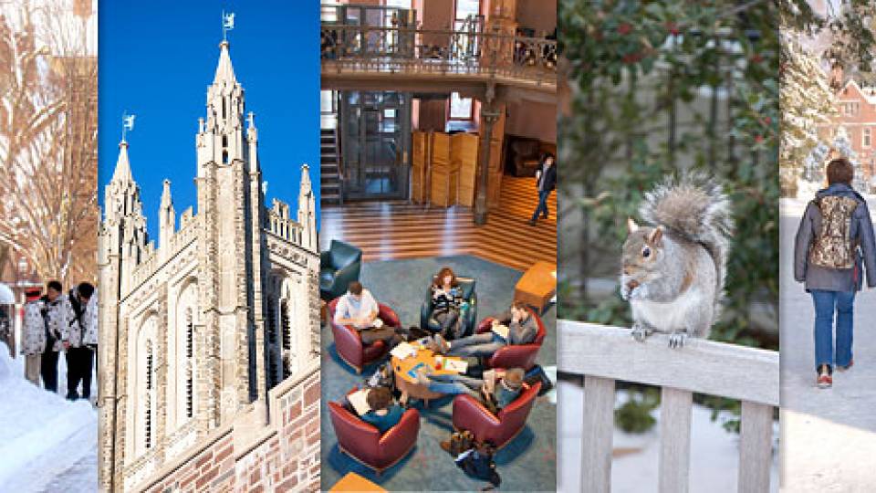 Snow video home page