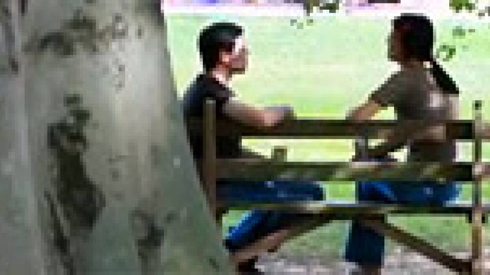 Summer Reflection multimedia