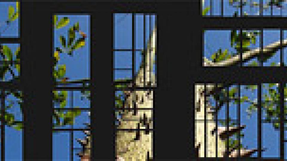 Art of Science multimedia