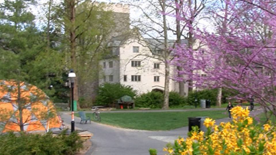 Student Colony home page