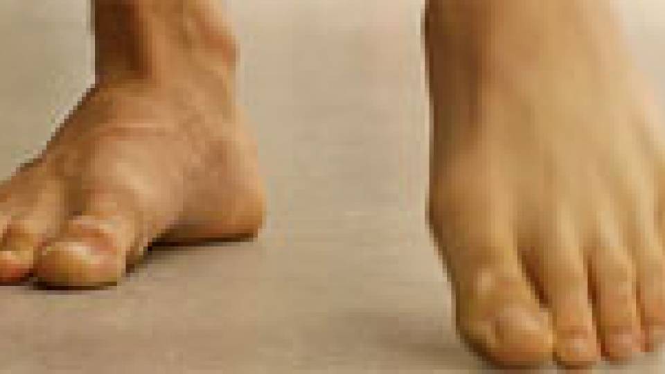 Cunningham Revisited multimedia