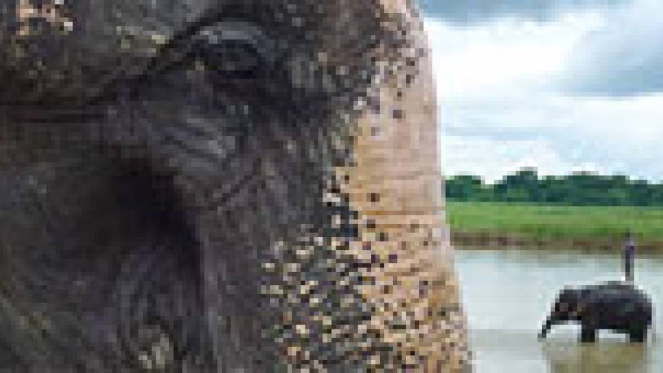 International Eye multimedia