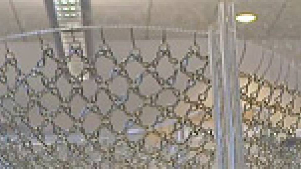 German Thin Shells multimedia