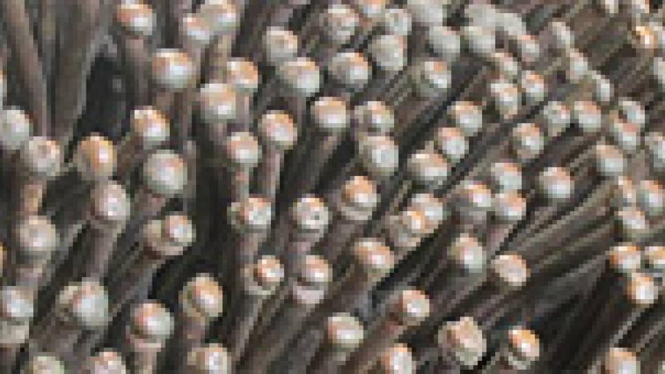 Campus Quiz multimedia