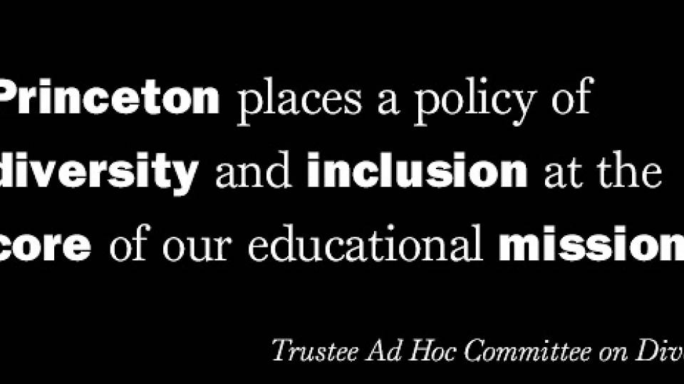 Diversity Report homepage