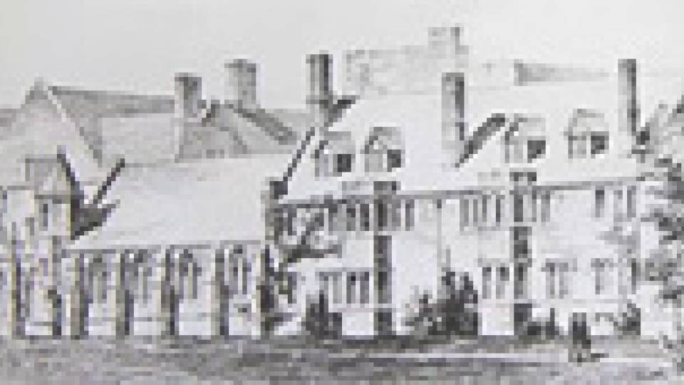 Many Minds multimedia