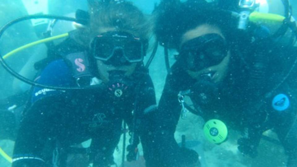 Senior Thesis Bermuda homepage