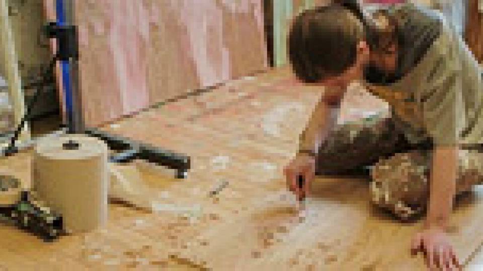 Senior Thesis Maura multimedia