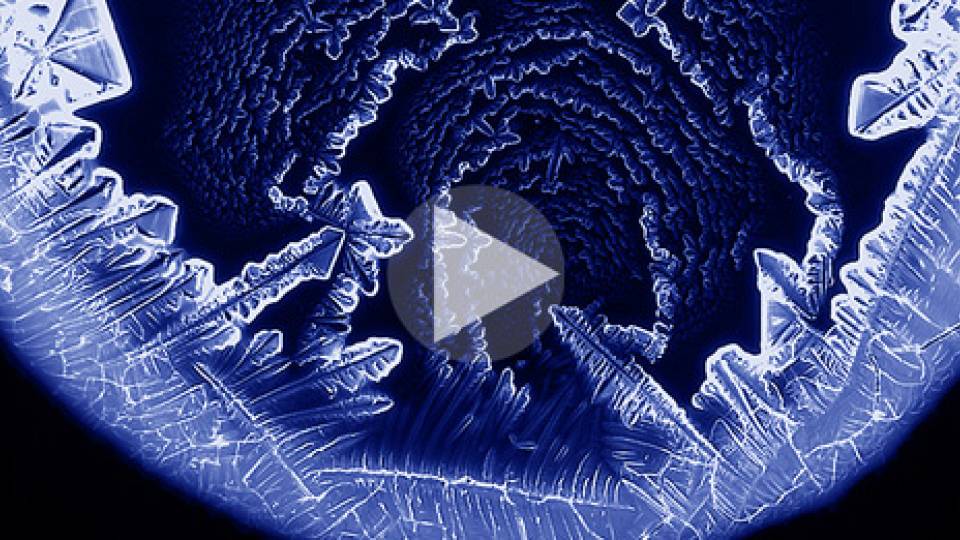 2014 Art of Science homepage visual