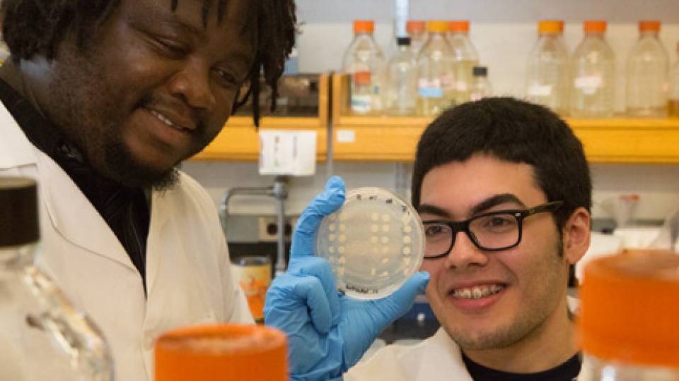 Lab Learning homepage visual