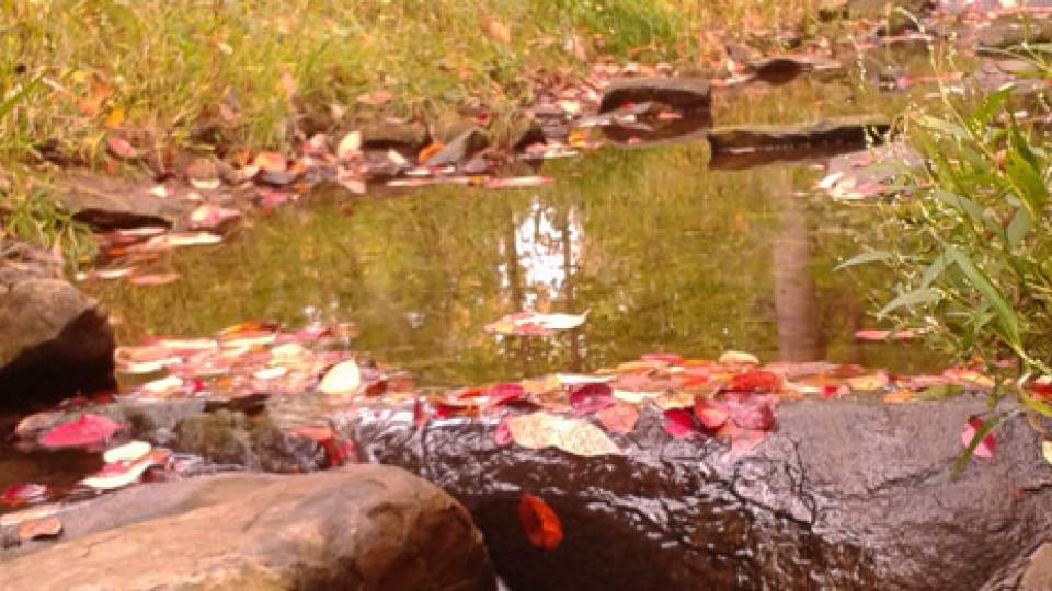 Campus as lab homepage visual