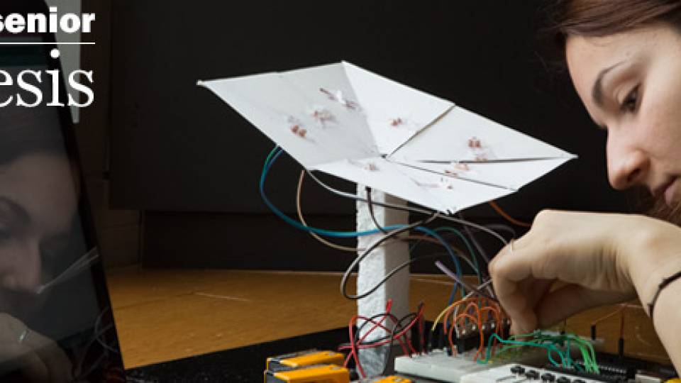 Senior Thesis Denisa Buzatu