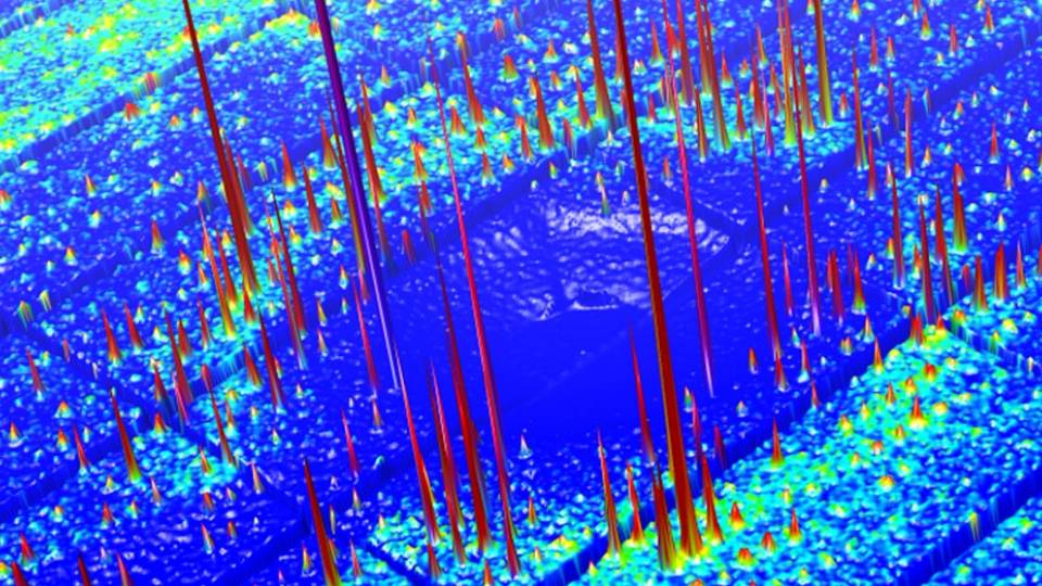 Nozomi Ando data visualization