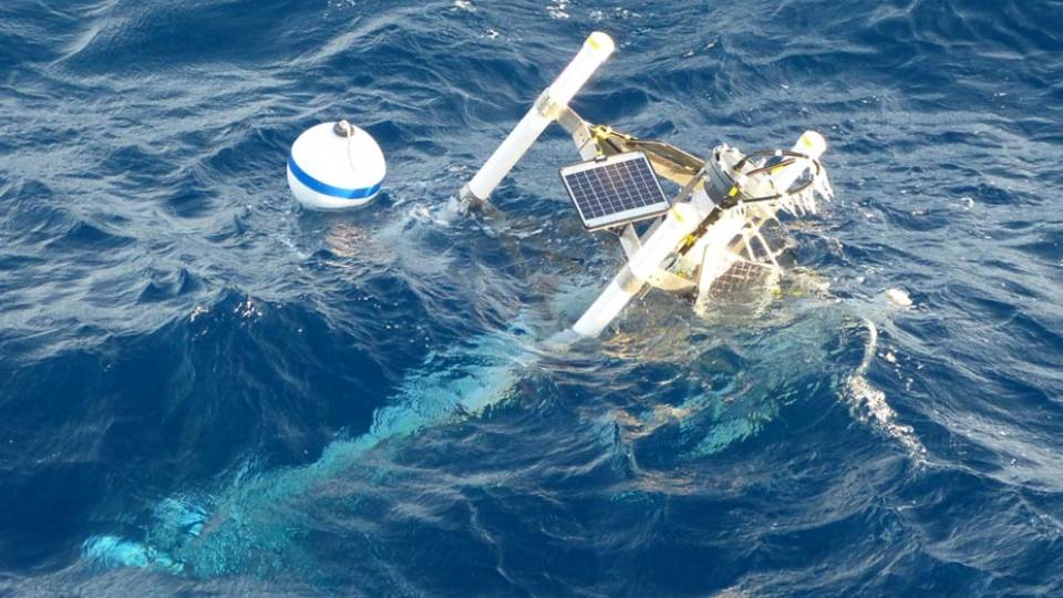 Frederik Simons' Son of Mermaid